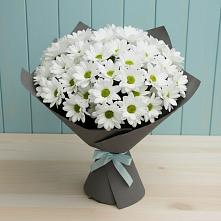 Букет цветов из:  Хризантемы #REPLACE_PRED# Сысерти