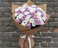 Букет цветов из:  Хризантемы в Сысерти