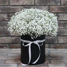 Цветочная композиция из Гипсофила в шляпной коробке #REPLACE_PRED# Сысерти